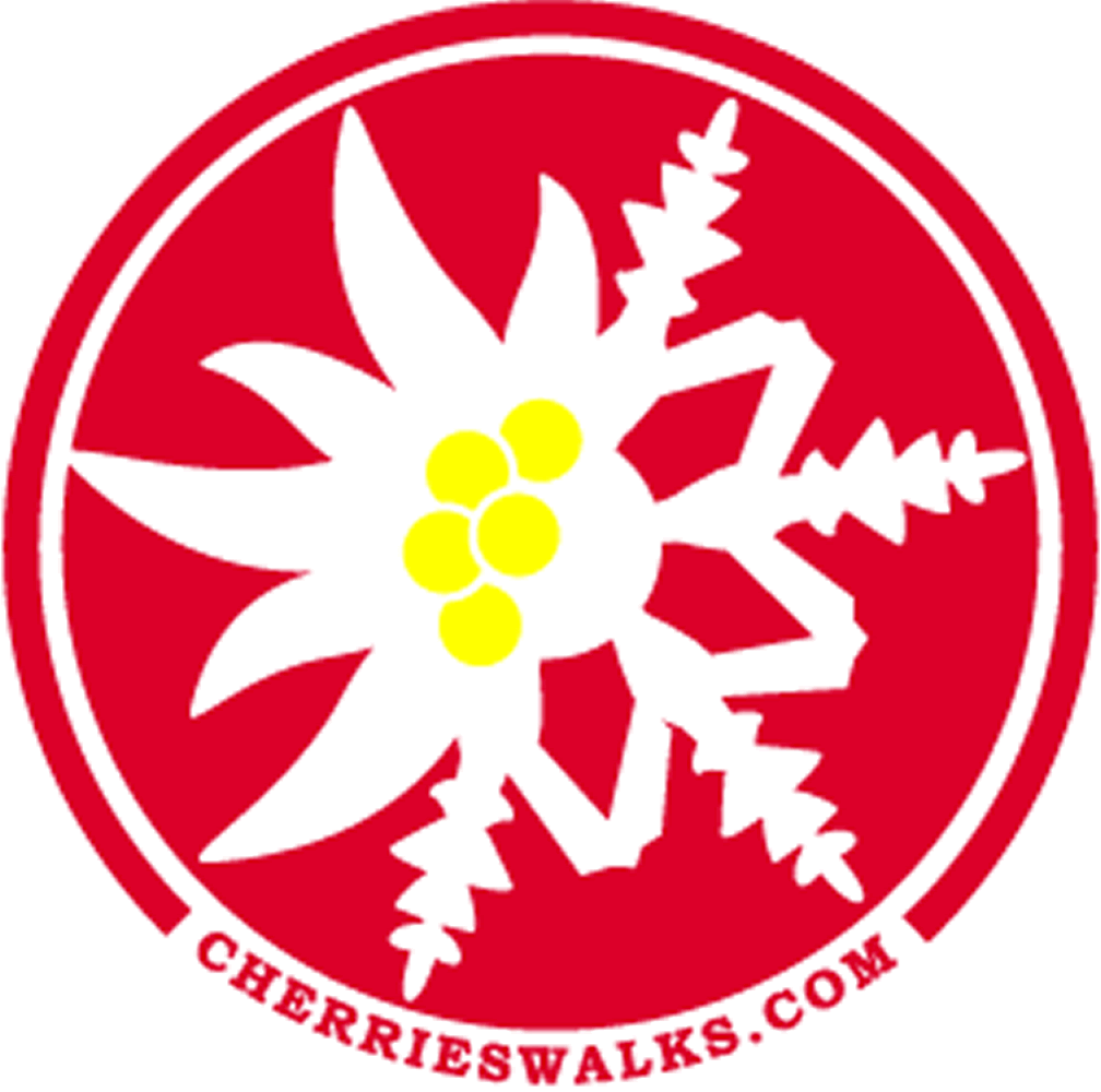 Cherries Von Maur Ussher